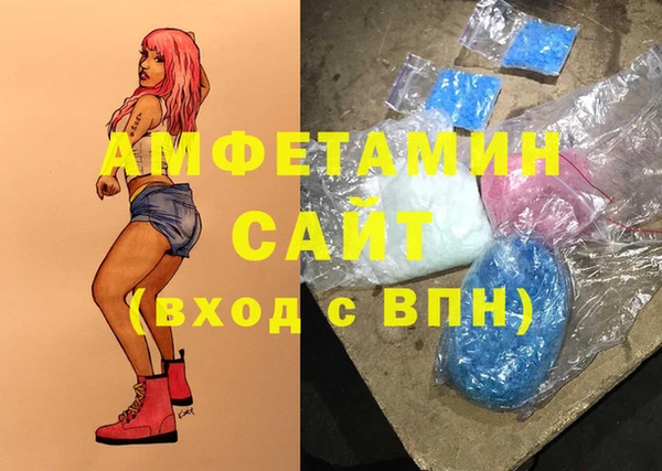 гидра Богородск