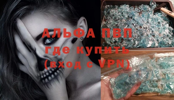 гидра Богородск