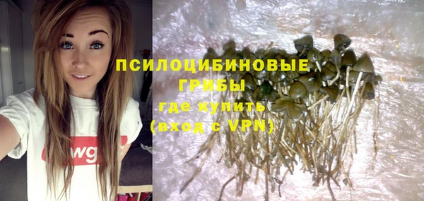 соль курить ск Белокуриха