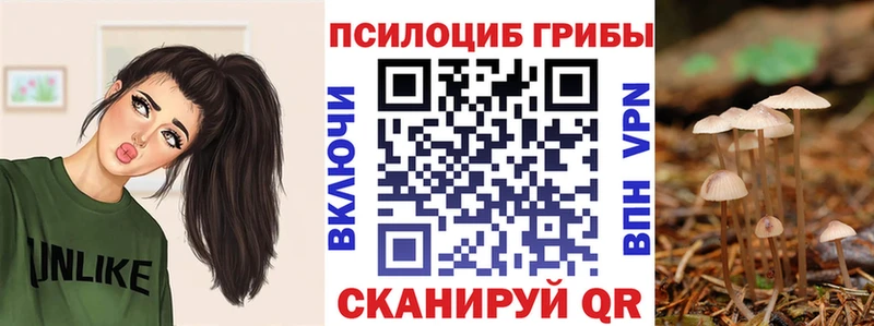 Псилоцибиновые грибы Magic Shrooms  где продают наркотики  Беломорск 